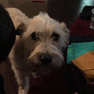 Meet your Posher, Christine